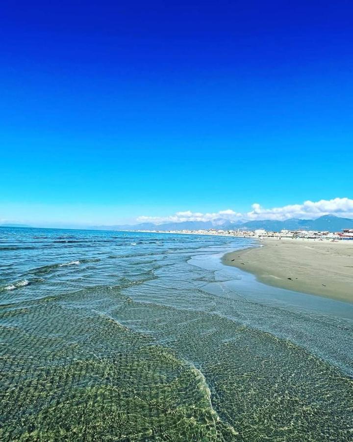 Hotel Pardini Viareggio Exteriör bild